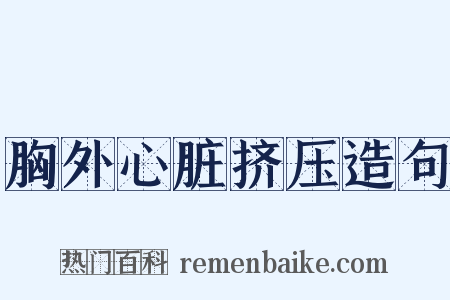 胸外心脏挤压造句是什么意思的图片